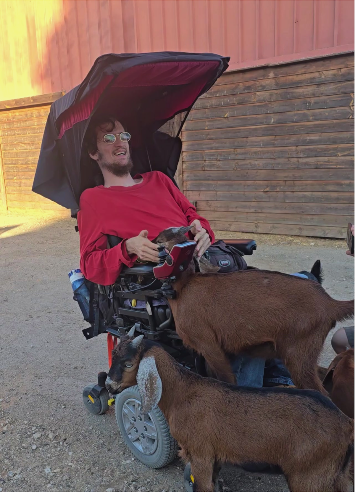 goats with Jonathan at Freedom Farm Sanctuary